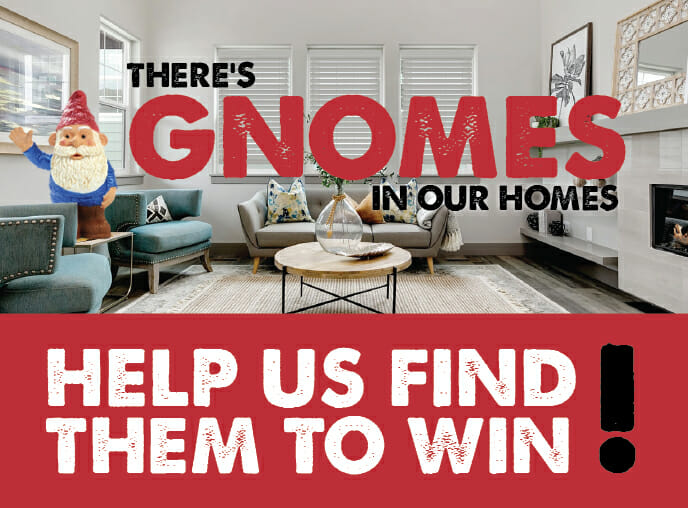 We've Got Gnomes in Our Homes!